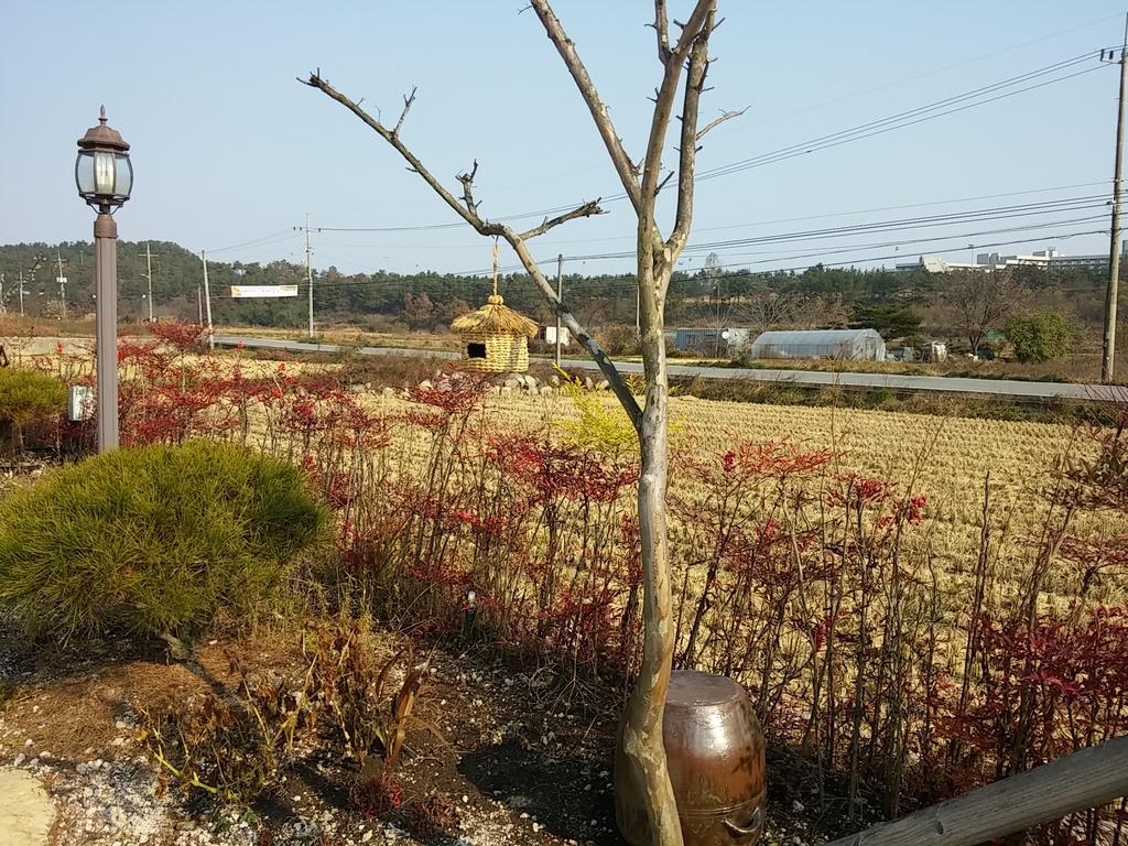 Starlight Journey Pension Gyeongju Exterior photo