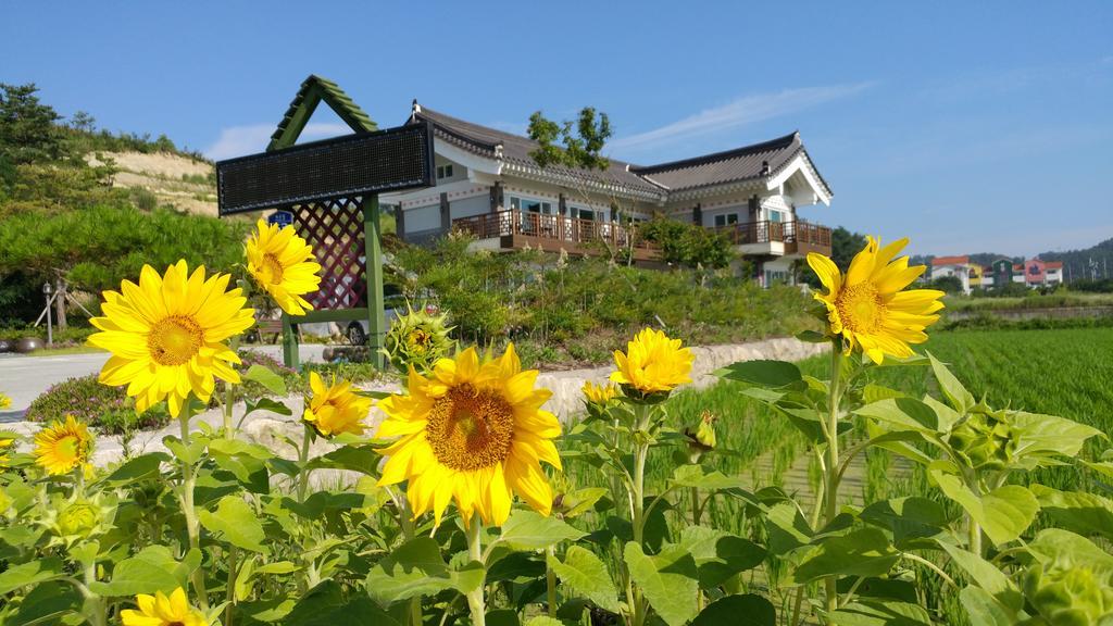 Starlight Journey Pension Gyeongju Exterior photo